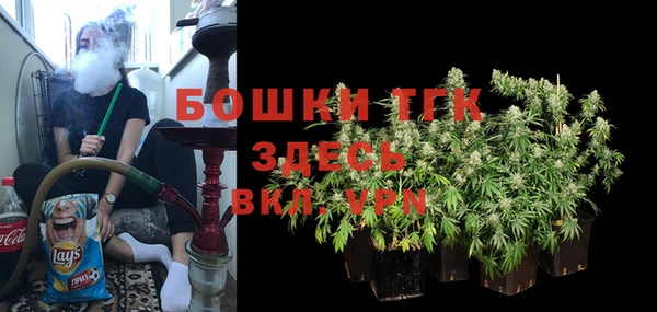 амф Арсеньев