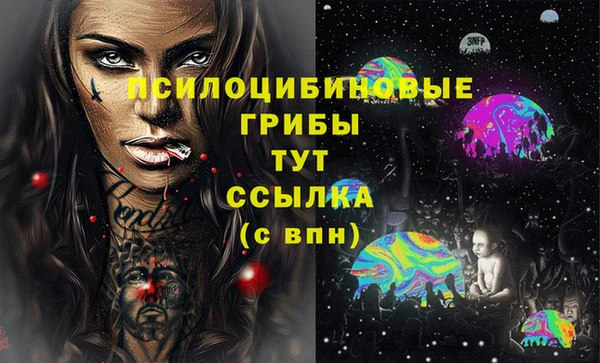 амф Арсеньев