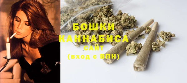 амф Арсеньев